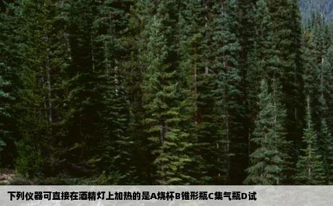 下列仪器可直接在酒精灯上加热的是A烧杯B锥形瓶C集气瓶D试