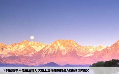 下列仪器中不能在酒精灯火焰上直接加热的是A烧瓶B燃烧匙C