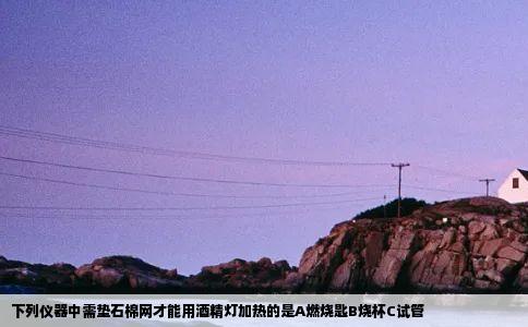 下列仪器中需垫石棉网才能用酒精灯加热的是A燃烧匙B烧杯C试管