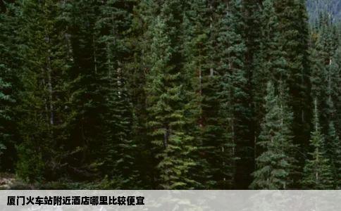 厦门火车站附近酒店哪里比较便宜