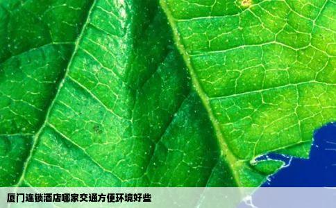 厦门连锁酒店哪家交通方便环境好些