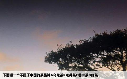 下面哪一个不属于中国的茶品种A乌龙茶B龙井茶C香味茶D红茶