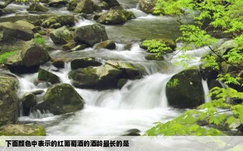 下面颜色中表示的红葡萄酒的酒龄最长的是