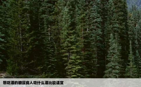 想吃酒的糖尿病人吃什么酒比较适宜