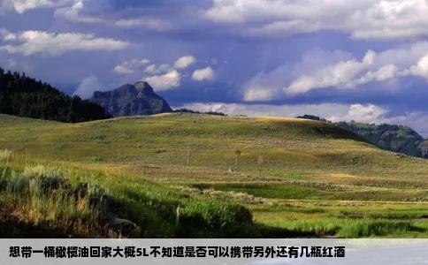 想带一桶橄榄油回家大概5L不知道是否可以携带另外还有几瓶红酒