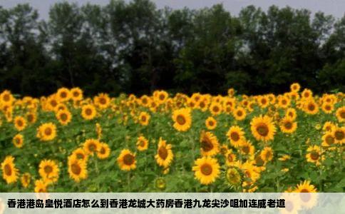 香港港岛皇悦酒店怎么到香港龙城大药房香港九龙尖沙咀加连威老道