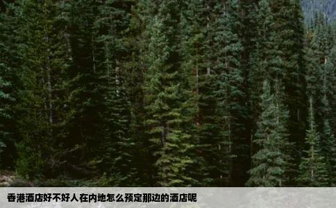 香港酒店好不好人在内地怎么预定那边的酒店呢