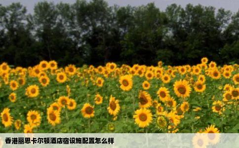 香港丽思卡尔顿酒店宿设施配置怎么样