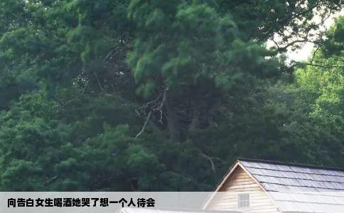 向告白女生喝酒她哭了想一个人待会
