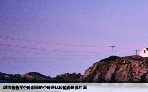 想给爸爸买茶叶哪里的茶叶是比较值得推荐的呢