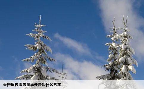 香格里拉酒店董事长是叫什么名字