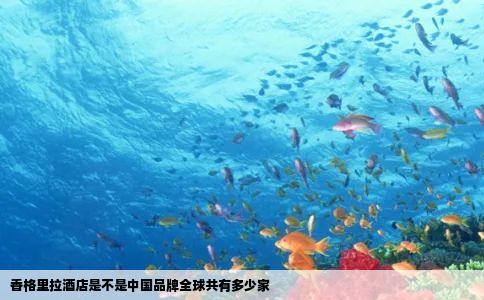 香格里拉酒店是不是中国品牌全球共有多少家