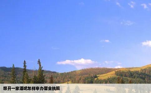 想开一家酒吧怎样申办营业执照