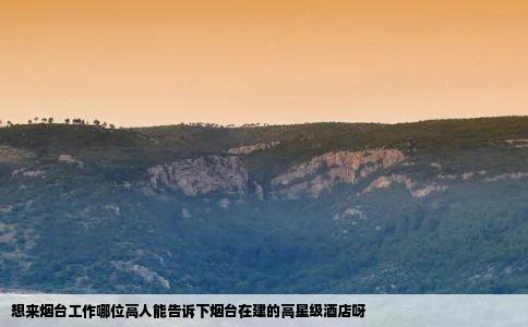 想来烟台工作哪位高人能告诉下烟台在建的高星级酒店呀