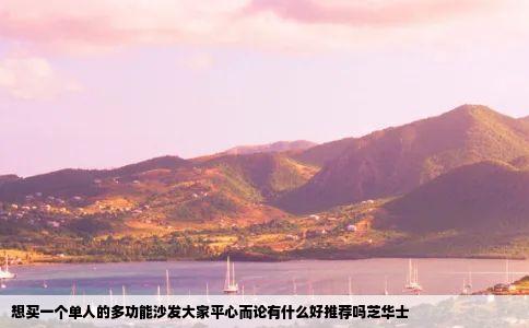 想买一个单人的多功能沙发大家平心而论有什么好推荐吗芝华士