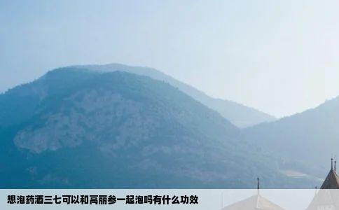 想泡药酒三七可以和高丽参一起泡吗有什么功效