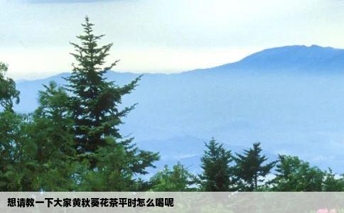 想请教一下大家黄秋葵花茶平时怎么喝呢