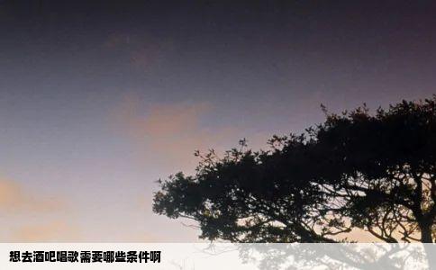 想去酒吧唱歌需要哪些条件啊