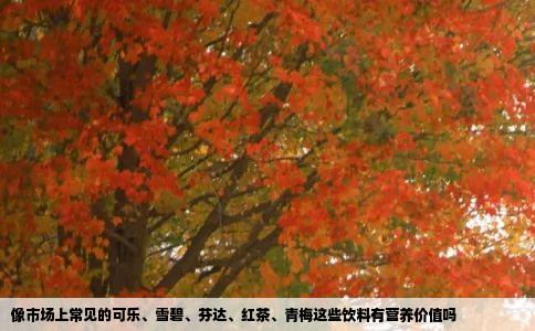 像市场上常见的可乐、雪碧、芬达、红茶、青梅这些饮料有营养价值吗