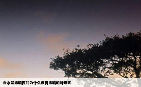 香水是酒精做的为什么没有酒精的味道呢
