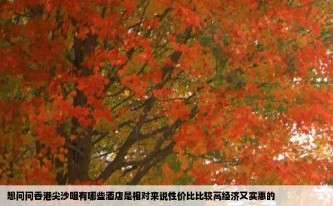 想问问香港尖沙咀有哪些酒店是相对来说性价比比较高经济又实惠的