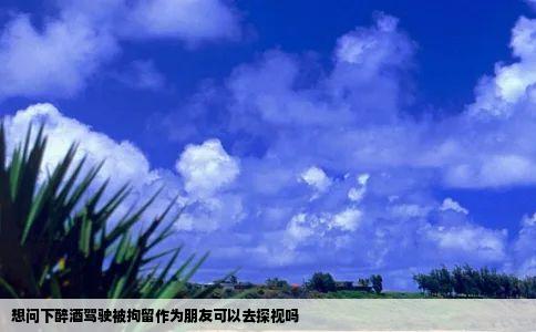 想问下醉酒驾驶被拘留作为朋友可以去探视吗