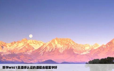 想学WSET品酒师认证的课程去哪里学好