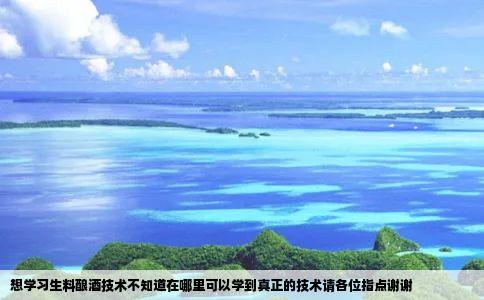 想学习生料酿酒技术不知道在哪里可以学到真正的技术请各位指点谢谢
