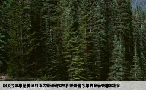 想要今年申请美国的酒店管理研究生但是听说今年的竞争会非常激烈