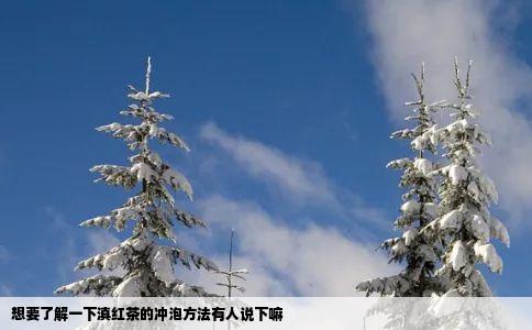 想要了解一下滇红茶的冲泡方法有人说下嘛