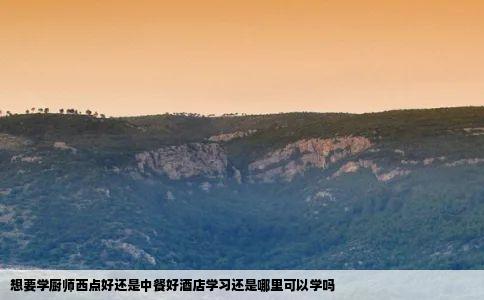 想要学厨师西点好还是中餐好酒店学习还是哪里可以学吗