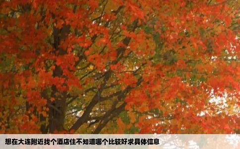 想在大连附近找个酒店住不知道哪个比较好求具体信息
