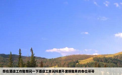 想在酒店工作我想问一下酒店工资高吗累不累啊我男的各位哥哥