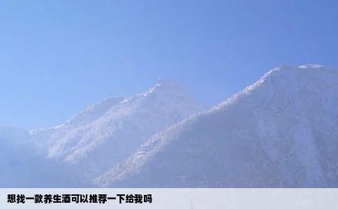 想找一款养生酒可以推荐一下给我吗