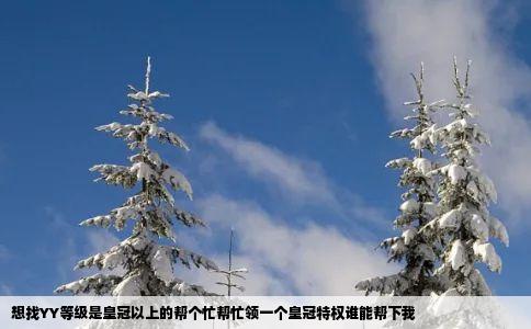 想找YY等级是皇冠以上的帮个忙帮忙领一个皇冠特权谁能帮下我