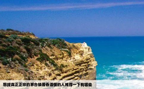 想找真正正宗的茅台镇酱香酒懂的人推荐一下有哪些