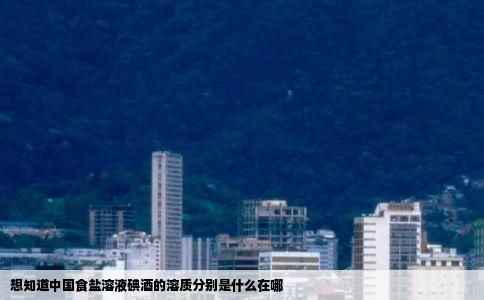 想知道中国食盐溶液碘酒的溶质分别是什么在哪