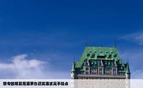 想专做婚宴用酒茅台迎宾酒求高手指点
