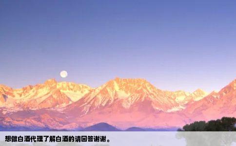 想做白酒代理了解白酒的请回答谢谢。