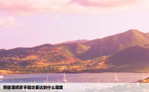 想做酒吧歌手唱功要达到什么程度