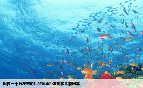 想做一十万左右的礼品烟酒批发部多久能回本