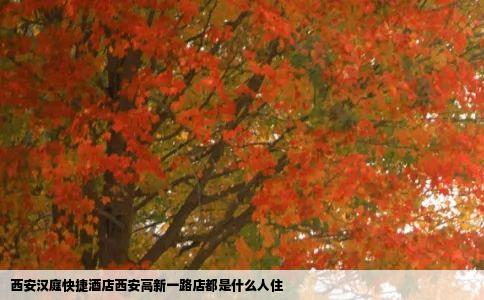 西安汉庭快捷酒店西安高新一路店都是什么人住