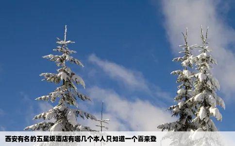 西安有名的五星级酒店有哪几个本人只知道一个喜来登