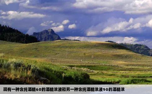 现有一种含纯酒精60的酒精浓液和另一种含纯酒精浓液90的酒精浓