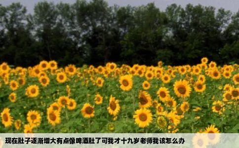 现在肚子逐渐增大有点像啤酒肚了可我才十九岁老师我该怎么办