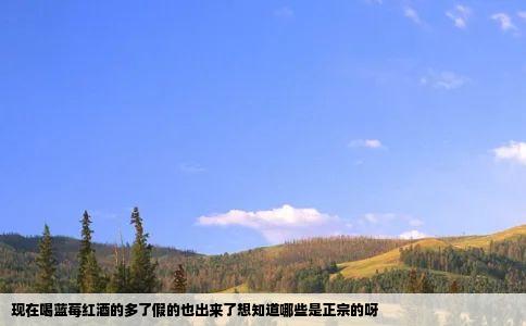 现在喝蓝莓红酒的多了假的也出来了想知道哪些是正宗的呀