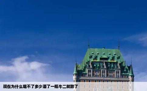现在为什么喝不了多少酒了一瓶牛二就醉了