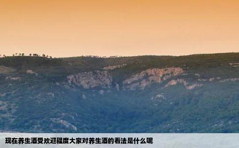 现在养生酒受欢迎程度大家对养生酒的看法是什么呢