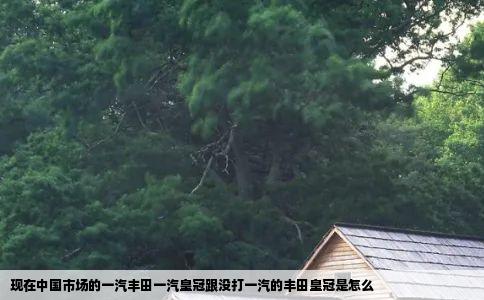 现在中国市场的一汽丰田一汽皇冠跟没打一汽的丰田皇冠是怎么