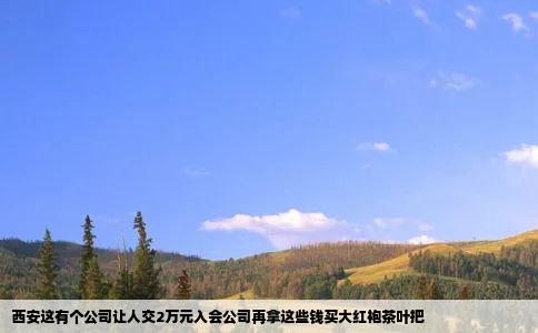 西安这有个公司让人交2万元入会公司再拿这些钱买大红袍茶叶把